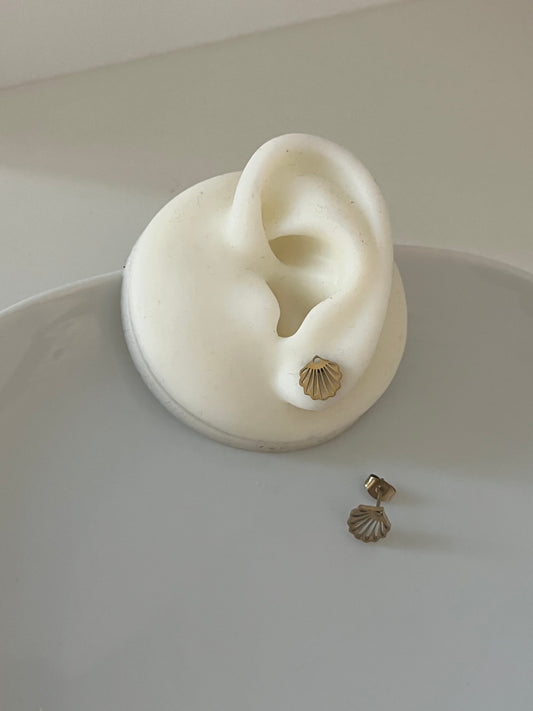 Clous coquillages