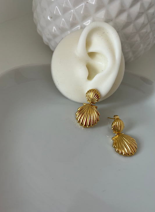 Boucles coquillages